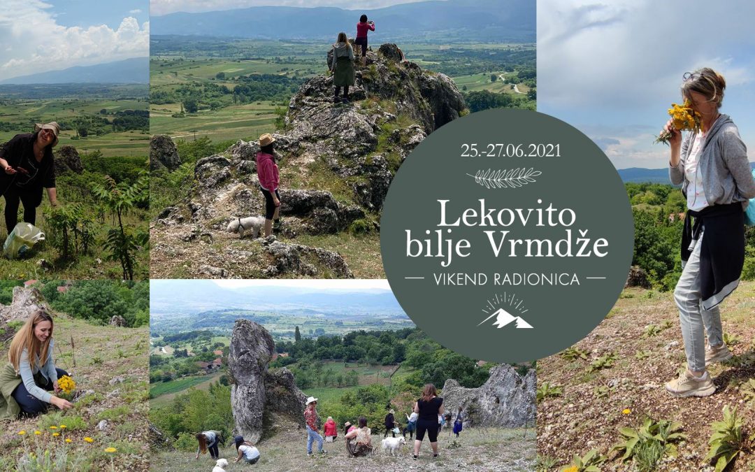 Lekovito bilje Vrmdže – 25-27. juna 2021.